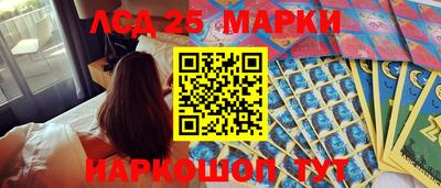 мдпв Кандалакша