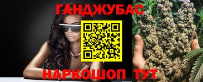 крисы Камышлов