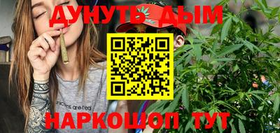 крисы Камышлов