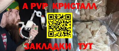 крисы Камышлов
